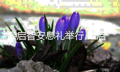 念举行 田城王场悼等到廖启郭富息礼智安祖蓝启文